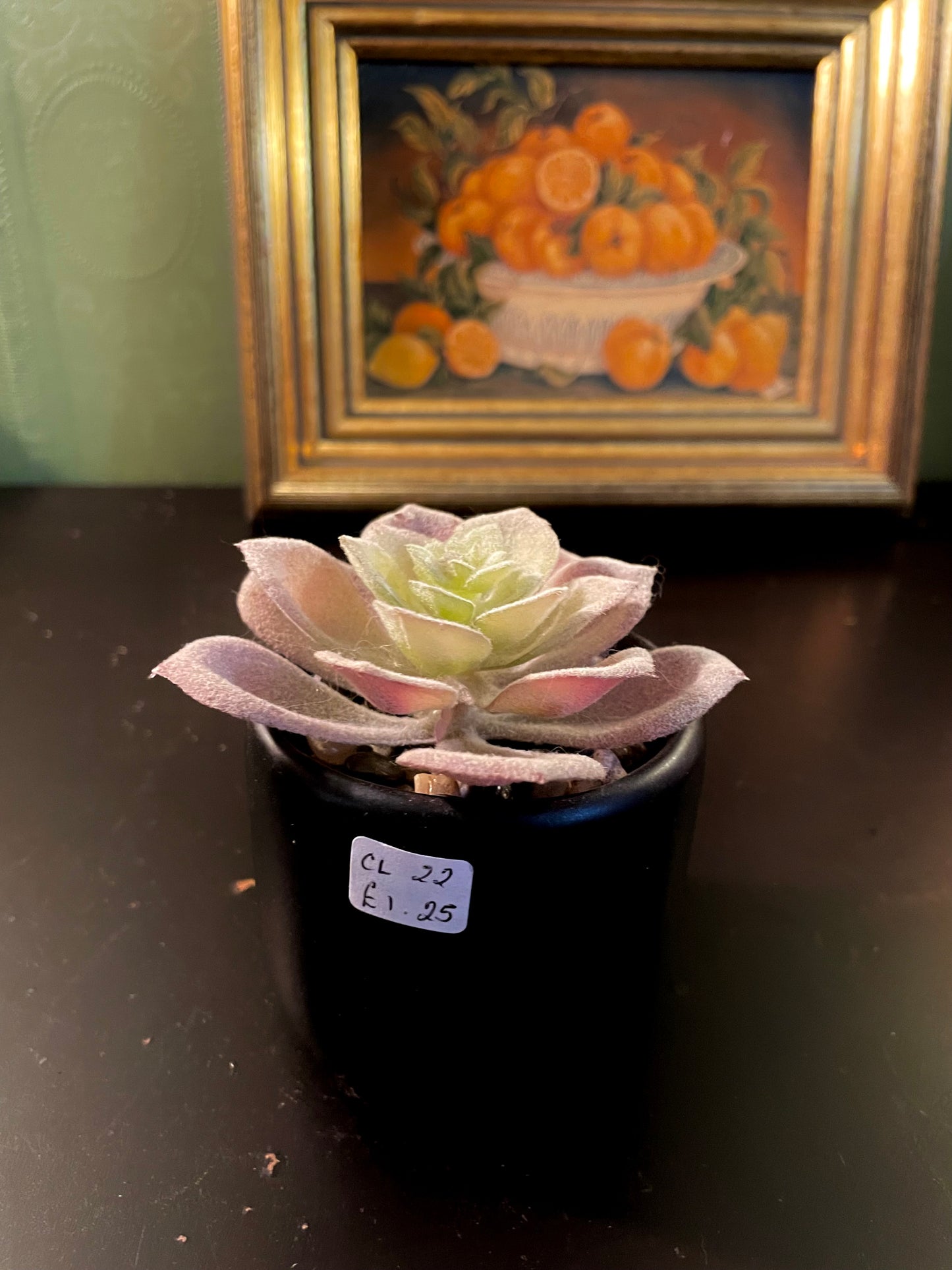 Artificial Blush Succulent in Black Pot 4 Inch