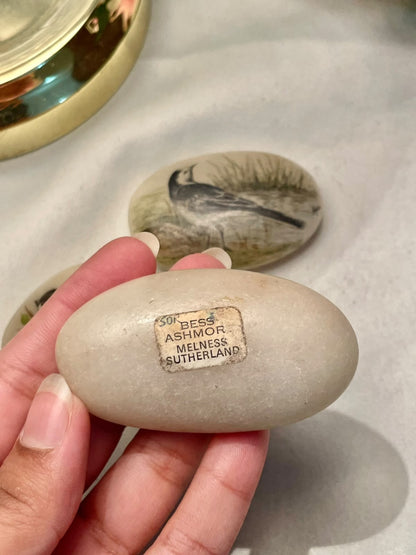 RARE FIND Bess Ashmore Painted Bird Stones, 3-Piece Set, 3 in