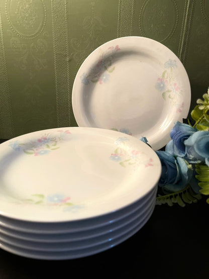 Royal of Japan Pastel Floral Plates Set of 6