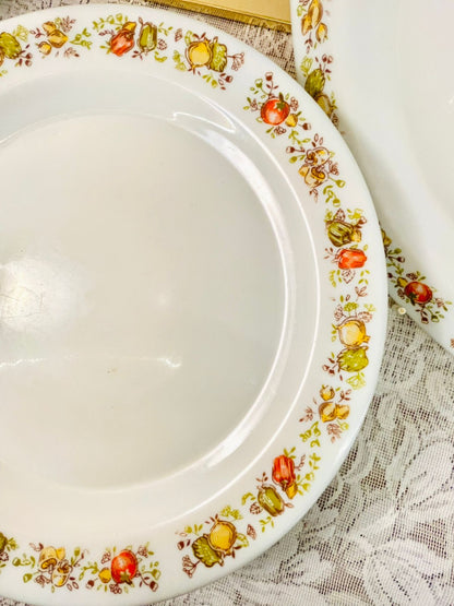Vintage Autumn Harvest Porcelain set of 6 Dinner Plate