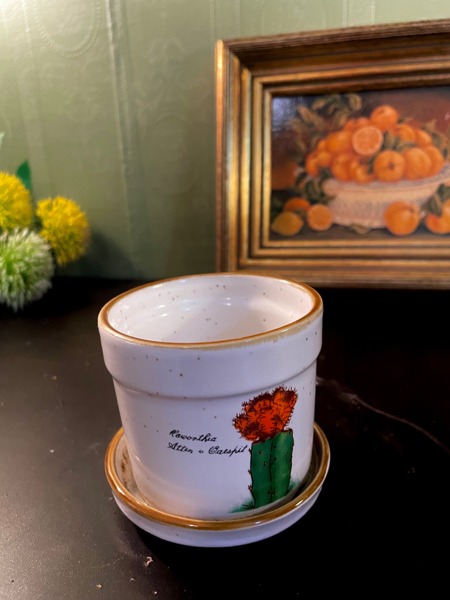 Ceramic Cactus Plant Pot with Saucer 3.5 Inch