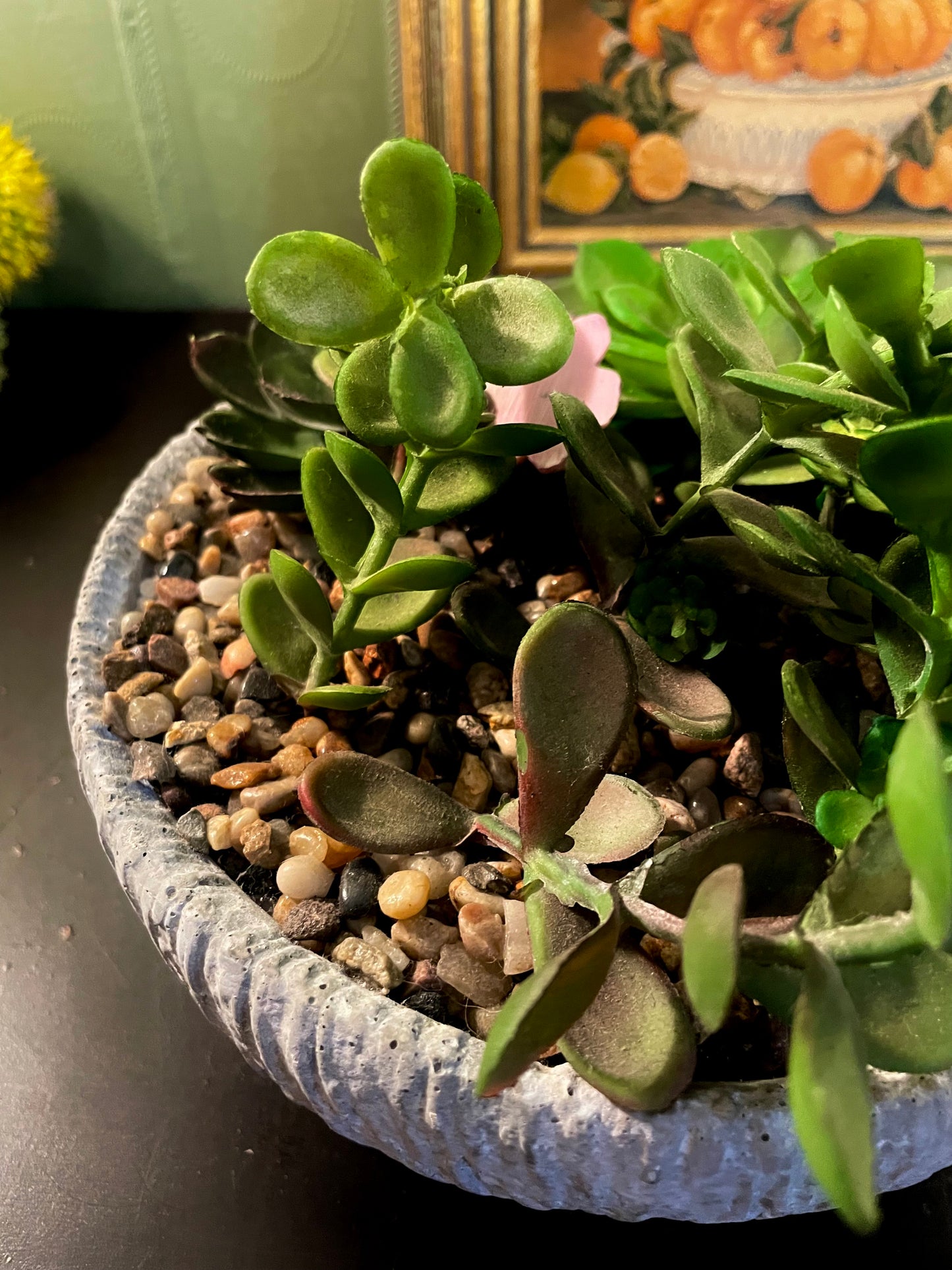 Large Artificial Succulent Garden in Grey Bowl Planter 7 Inch