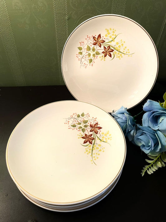 Johnson Bros Floral Fine China Side Plates Set of 6 – 7 Inch