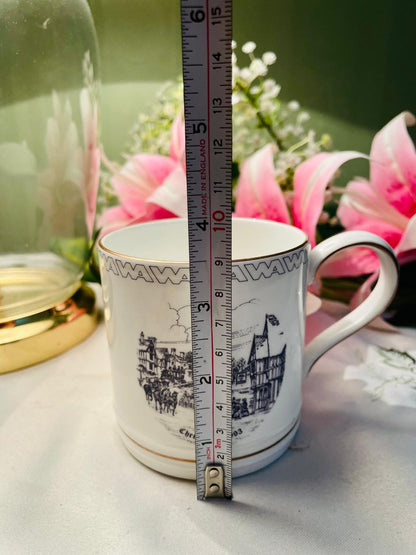 Coalport Wallace Arnold Bone China Scenic Mug 9 cm
