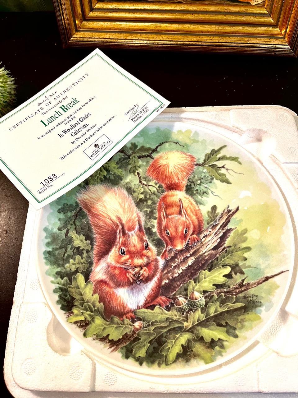 Wedgwood Boxed Decorative Plate Danbury Mint Woodland Glades Squirrel Plate 20 cm