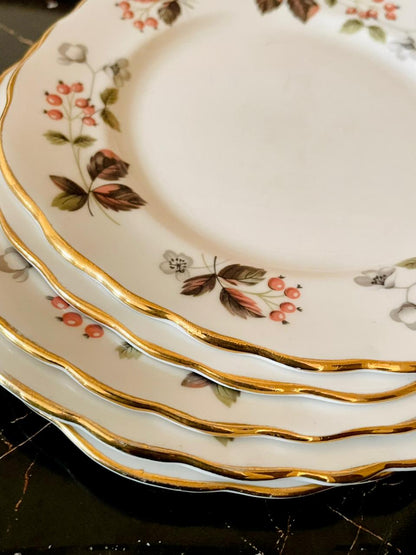 Set of 5 Colclough Bone China Plates – Red Berry & Gold Rim (England)
