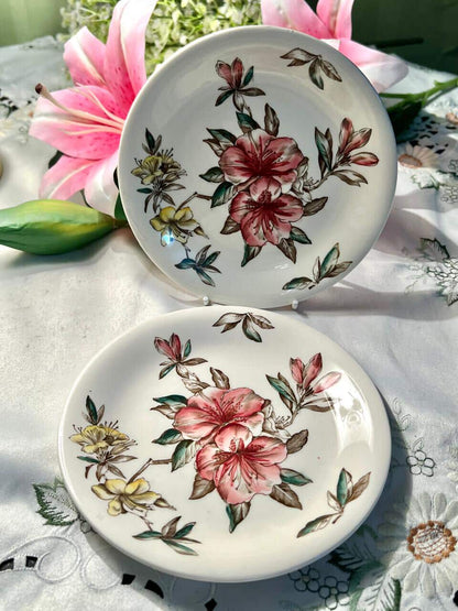 Johnson Bros Azalea 2-Piece Floral Decor Plates Set of 2 17 cm