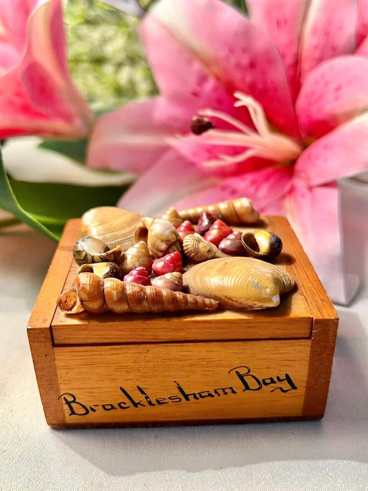 Vintage Bracklesham Bay Wooden Seashell Trinket Box Approx 9 cm