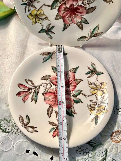 Johnson Bros Azalea 2-Piece Floral Decor Plates Set of 2 17 cm
