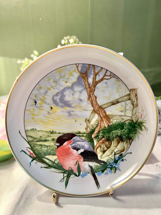 Arzberg Martin Camm Bullfinch Fine Porcelain Wall Plate 16 cm