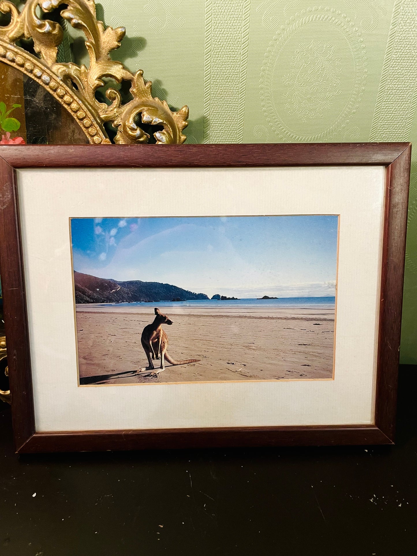 Framed Kangaroo Beach Photo Wall Art 13 Inch