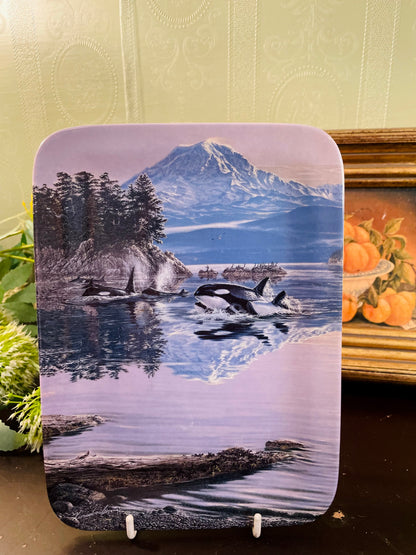 Bradford Exchange And the Orcas Glide Through the Sound Plate 8.5 Inch