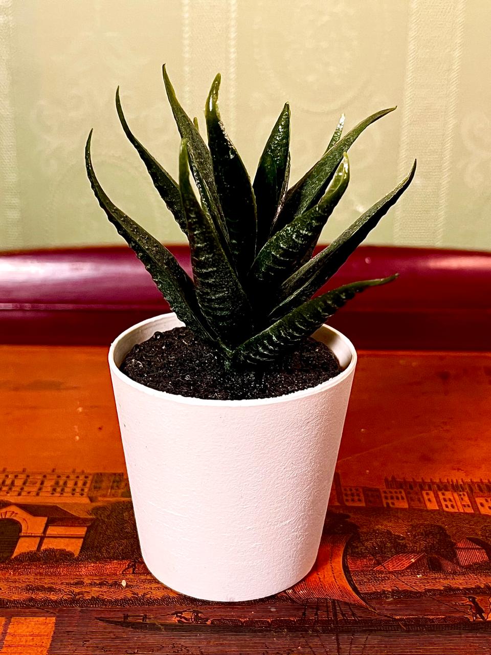 Mini Faux Snake Plant in White Pot | 5 Inch Decorative Planter