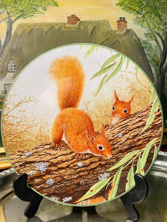 Royal Doulton “Red Squirrels” Collector Plate – 8.5in Wildlife Decor