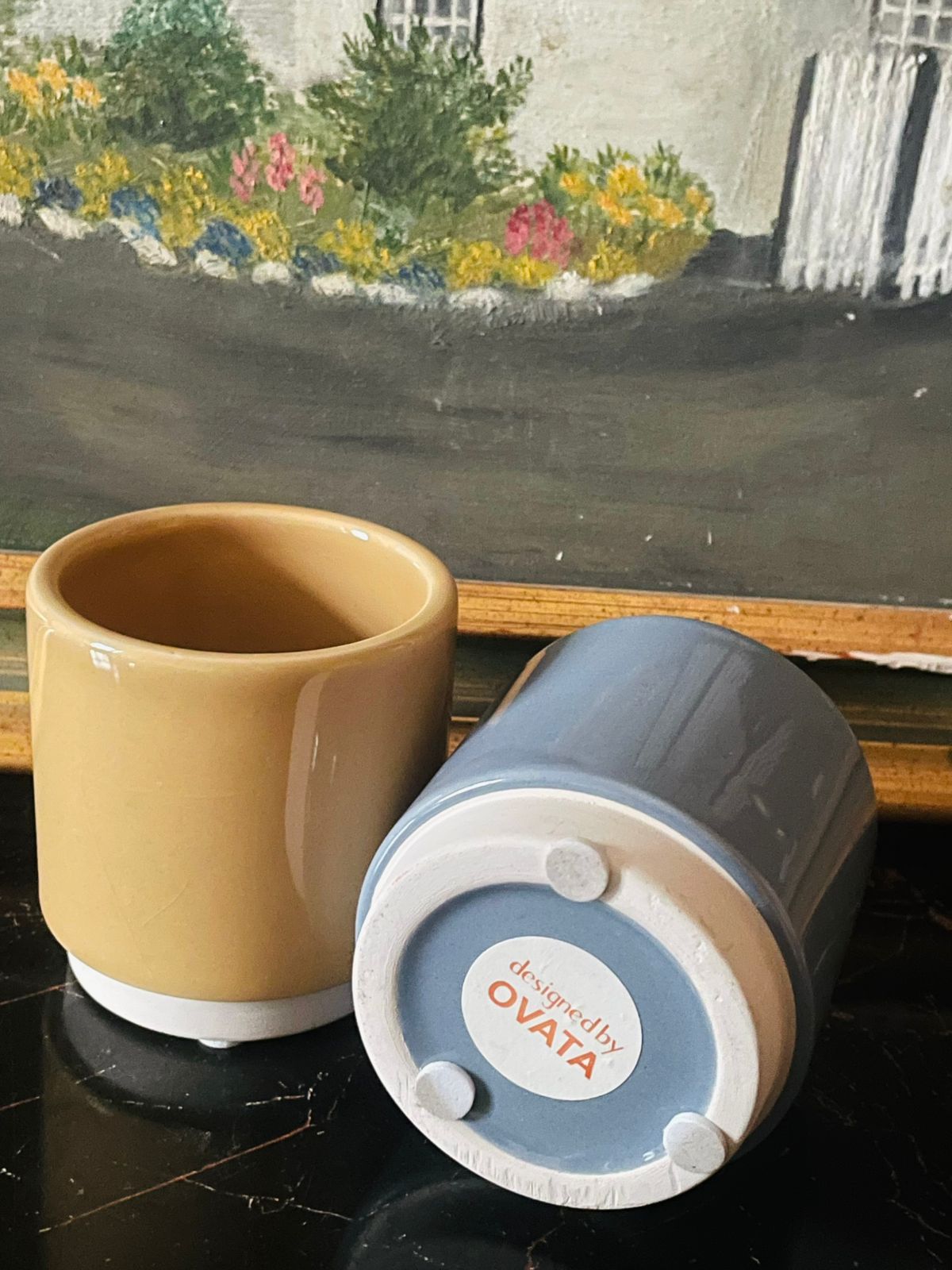 Mini Ceramic Plant Pots Set – Mustard & Blue Gloss Finish | Made in England