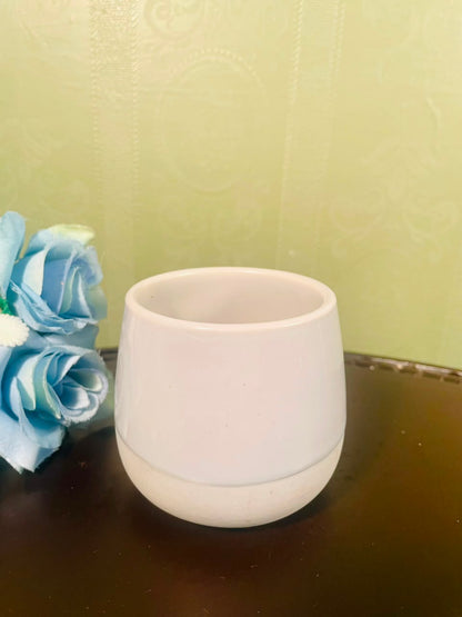 IKEA White Minimal Ceramic Planter – 3.5 Inch
