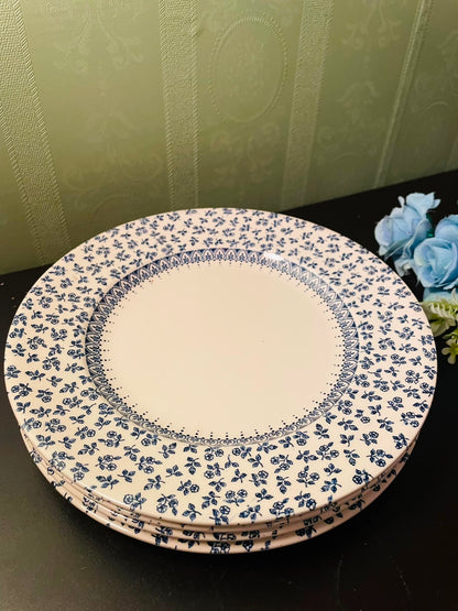 Vintage Blue Floral Dinner Plates Set Country Style