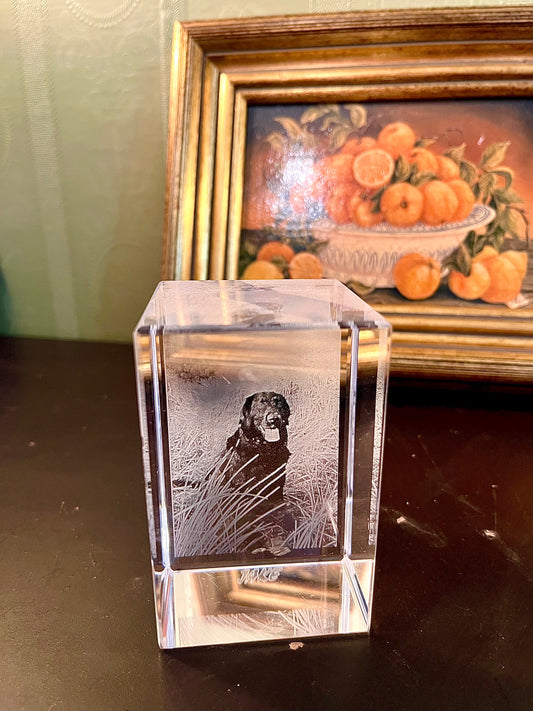 3D Laser Etched Crystal Photo Block – Dog Keepsake Ornament