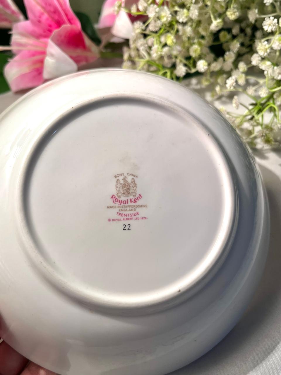 Royal Kent Trent Side Plate Blue Ivy Bone China 7 Inch