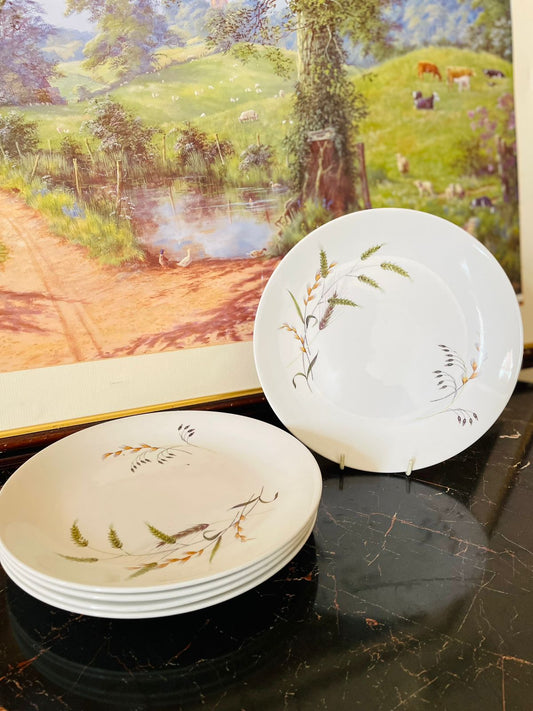 Ridgway Staffordshire plates, vintage Ridgway crockery, Canadiana dinner plates England, English ceramic plates Pakistan, wheat sheaf plate design, Staffordshire dinnerware, rare thrift finds Pakistan, heritage European crockery, Ridgway vintage collection, vintage English plates Lahore Karachi, collectible Ridgway dishes, classic dinner plates England