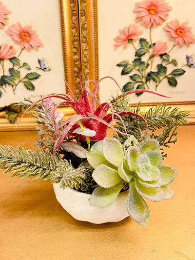 Vintage Ceramic Succulent Planter Bowl – Minimal Decor