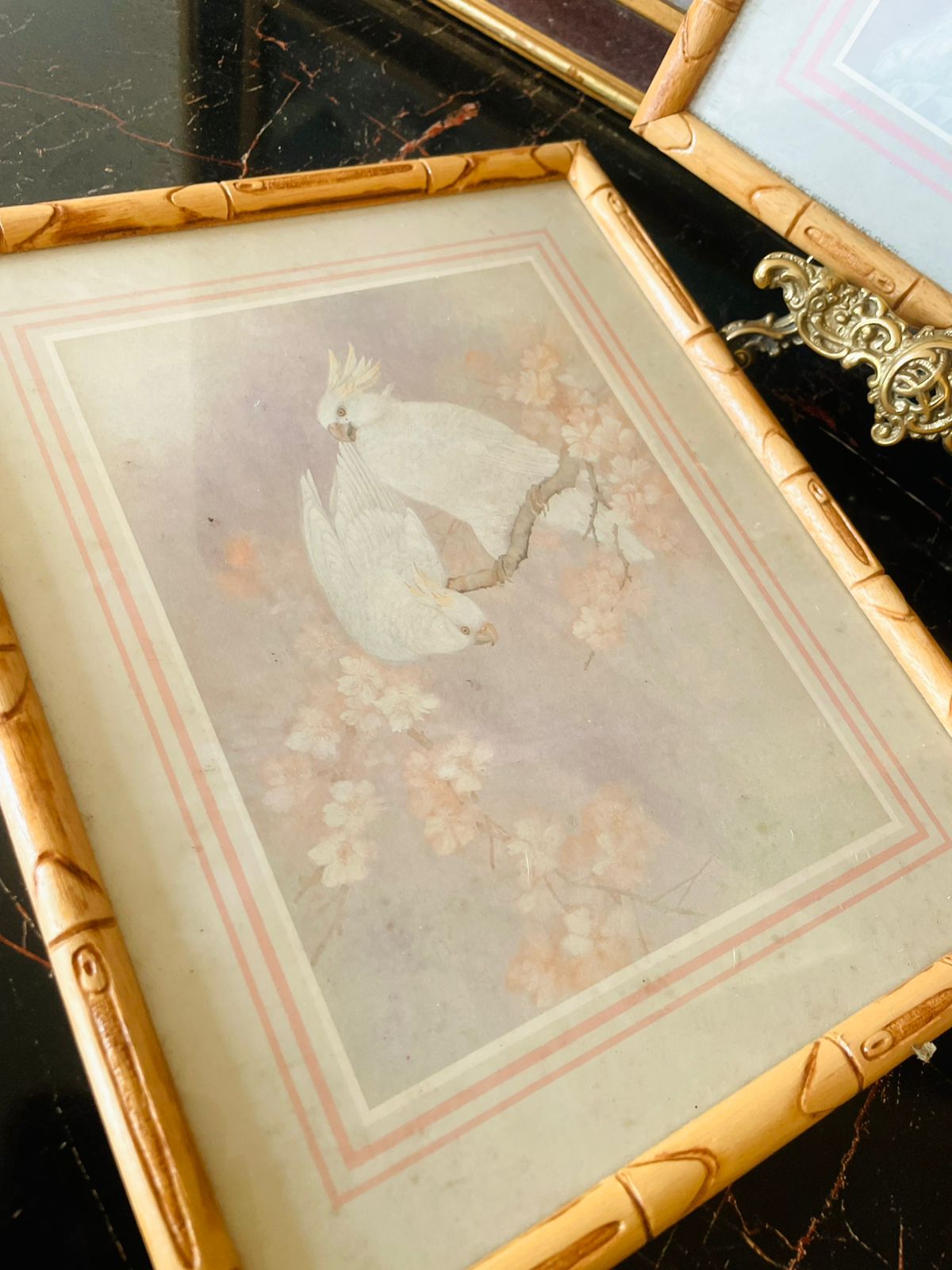 Pair of Vintage White Bird & Peacock Prints – Bamboo Style Frames (England)