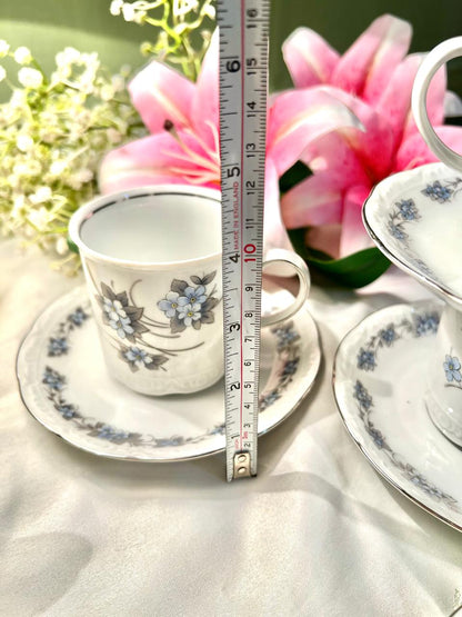 Mitterteich Bavaria Germany Blue Floral 14-Piece Cup & Plate Set