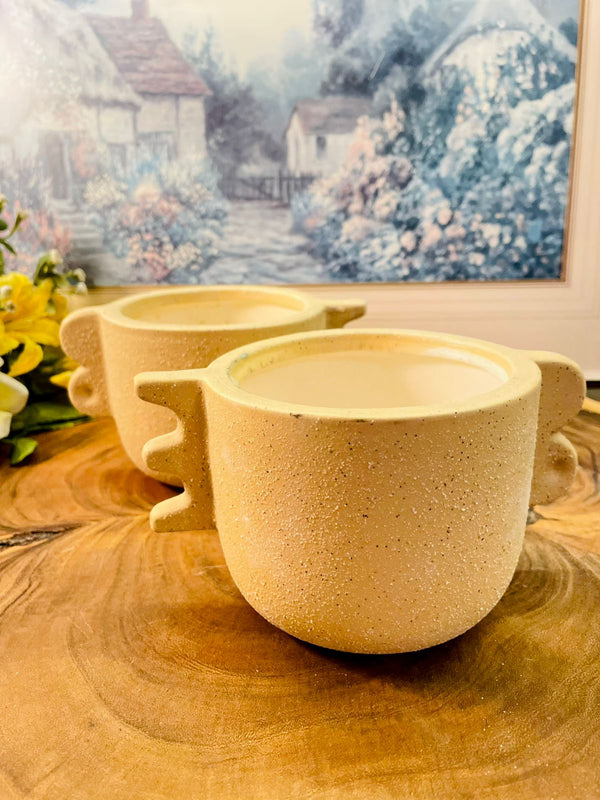 Vintage Rustic Baige  Planter with Artistic Handles