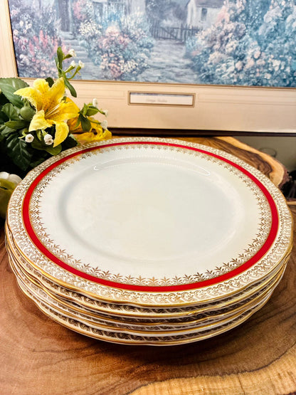 Salisbury Sarum Bone China Dinner Plates Set of 5