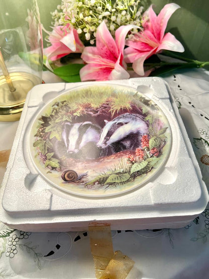 Wedgwood What’s That? Badger Wall Plate 20 cm