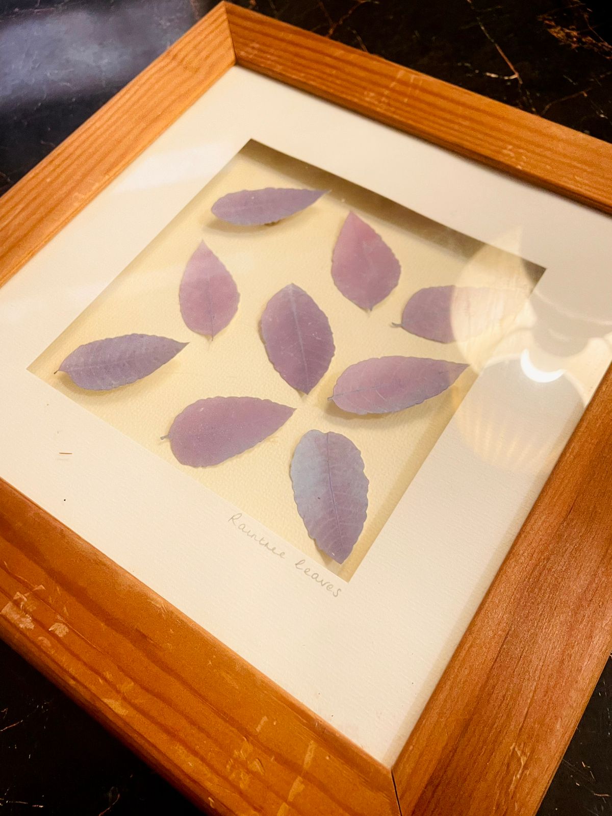 Pressed Leaves Frame Art – Minimal Botanical Wall Decor