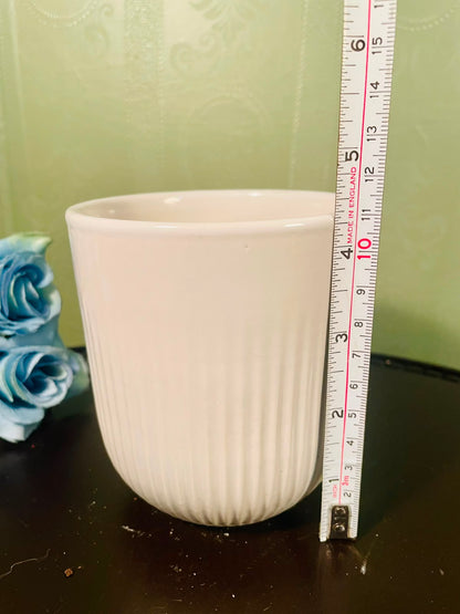 White Ribbed Ceramic Plant Pot – 4 Inch