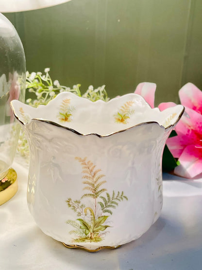 Connoisseur England Fine Bone China Botanical Large Planter