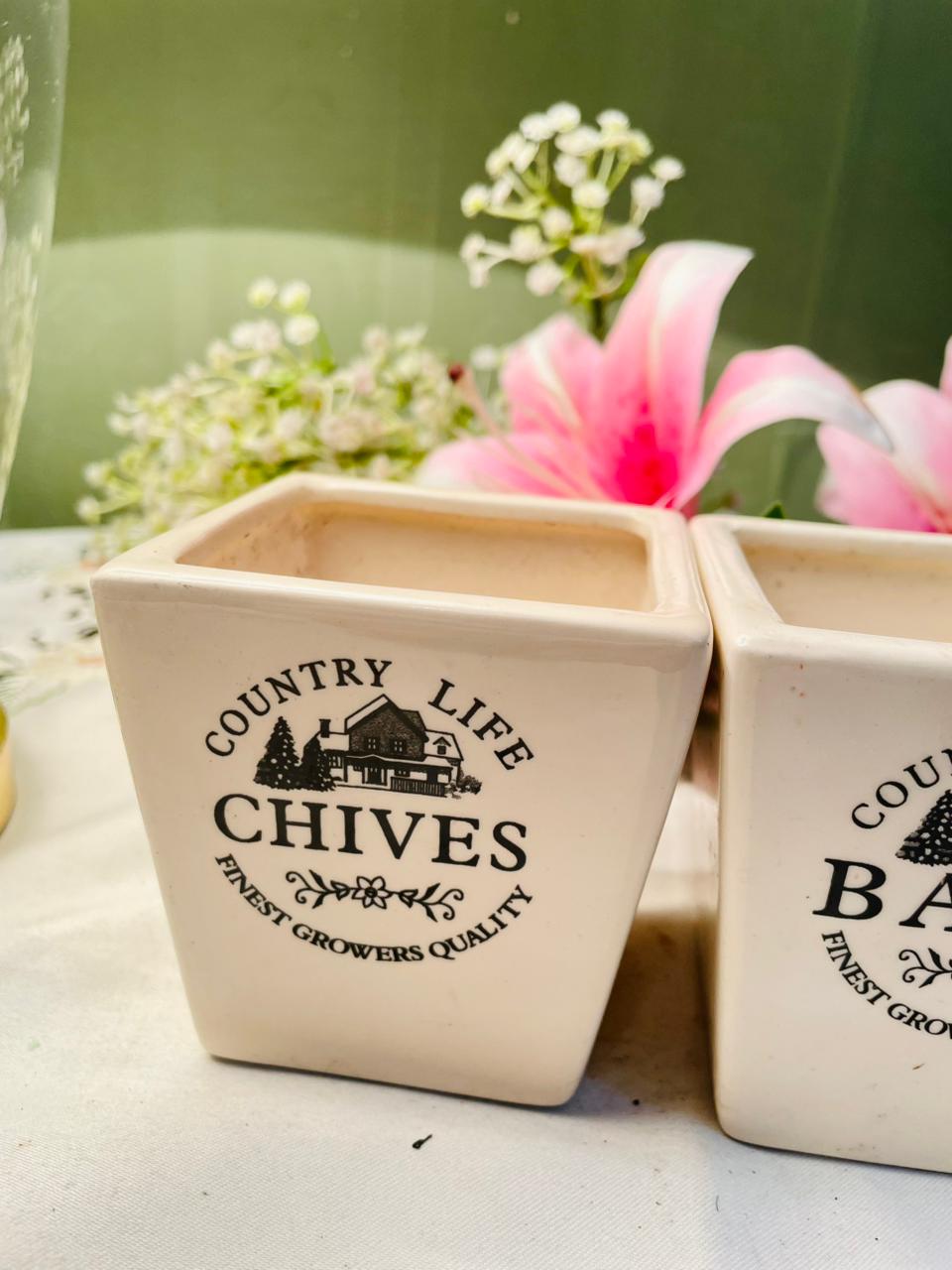 Country Life Basil & Chives Ceramic Herb Planters 2pc Set