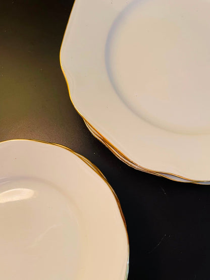 10 pcs White Porcelain Dinner & Quarter Plates Set Gold Trim