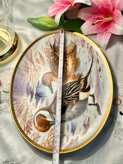 Wild Ducks of Europe Pintail Porcelain Plate 12 in