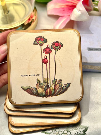 Vintage Newfoundland Botanical Coasters Set of 6 Approx. 11 cm