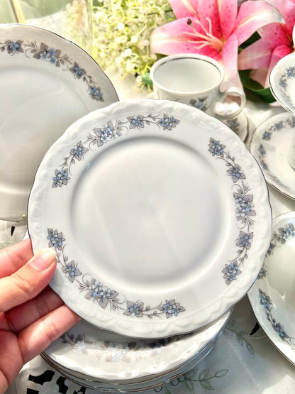 Mitterteich Bavaria Germany Blue Floral 14-Piece Cup & Plate Set