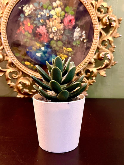 Artificial Succulent Plant in White Ceramic Pot Mini Faux Potted Plant 4 Inch