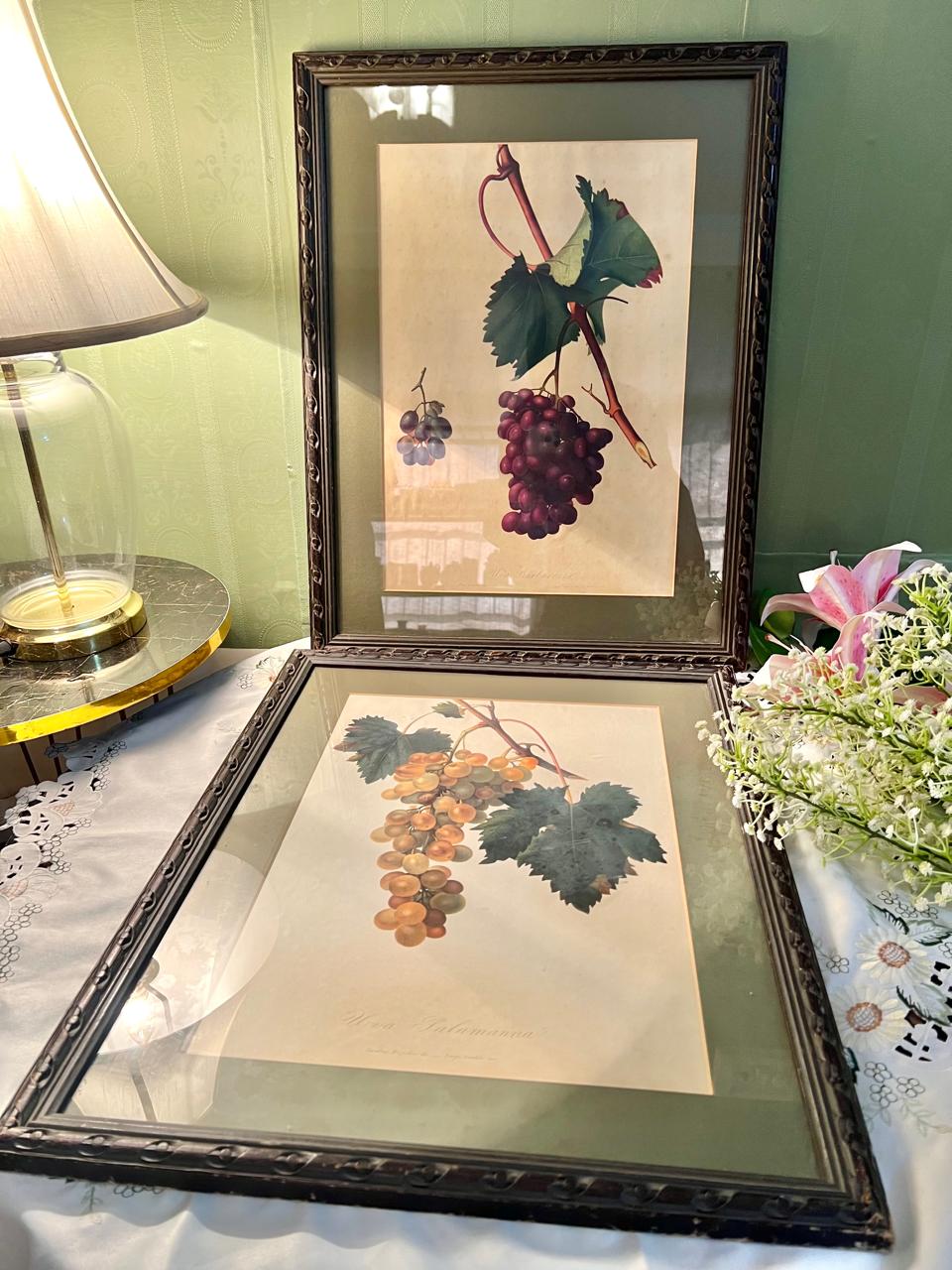 Pair of Large Vintage Framed Grape Botanical Art Prints
