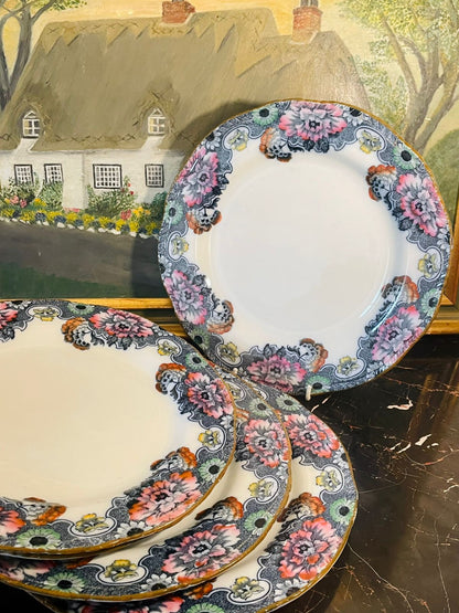 vintagecollection, woodandsonengland, cambridgeporcelain, englishchina, floralplates, goldrimchina, sunsetkitchen, cottagecoredecor, englishvintage, vintagehomepakistan, homedecorfinds, timelessantiques, dinnerplateset