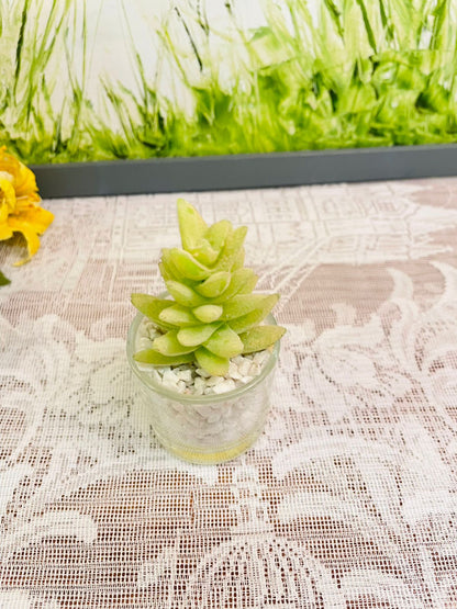 Mini Faux Succulent Glass Pot – Small Shelf Decor