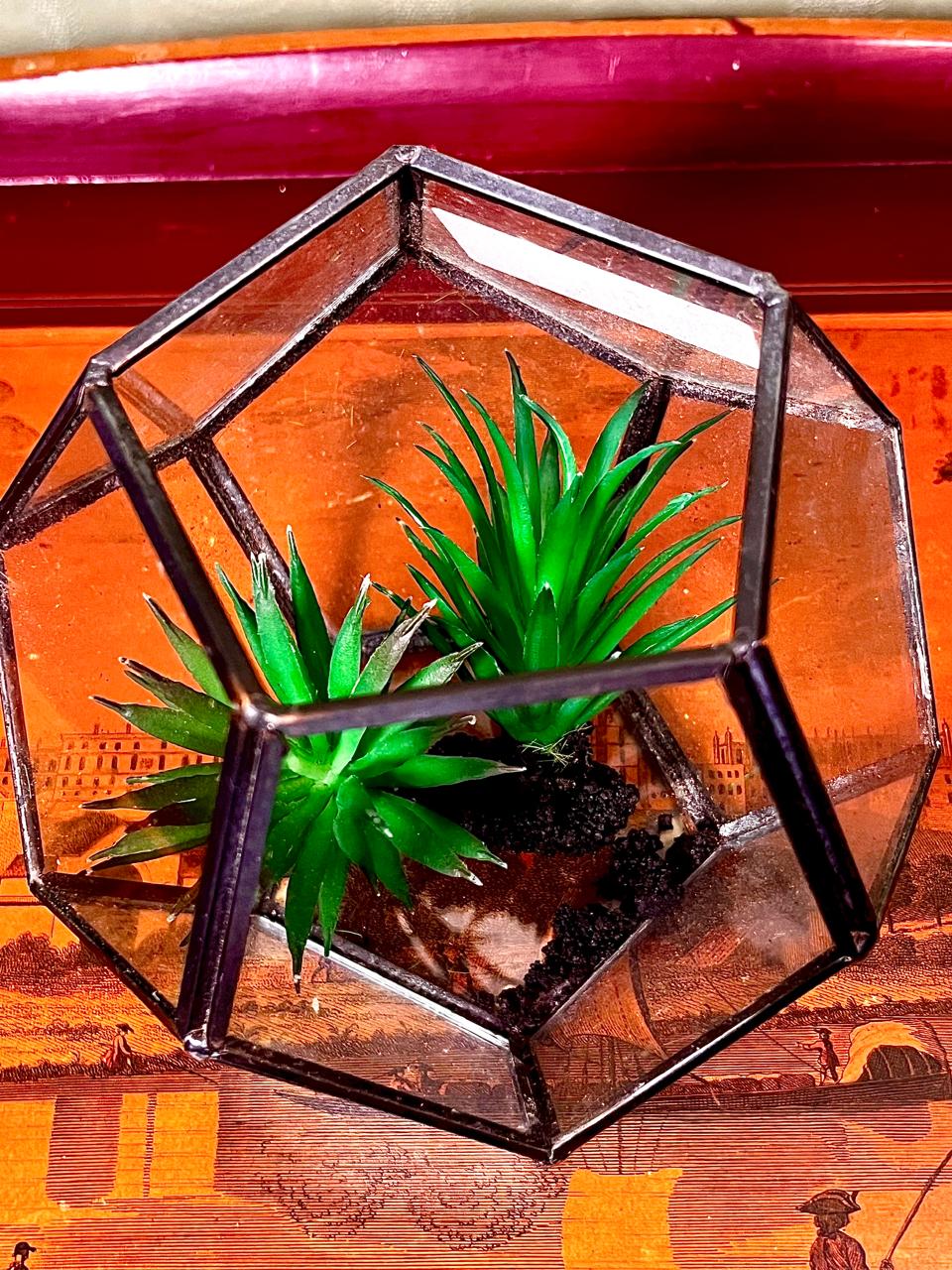 Geometric Glass Terrarium Planter | 5 Inch Modern Display Vase