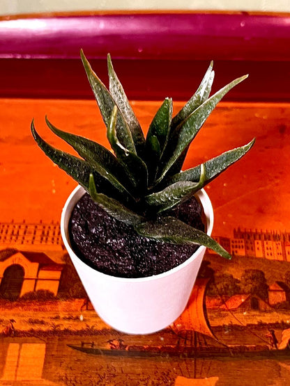 Mini Faux Snake Plant in White Pot | 5 Inch Decorative Planter