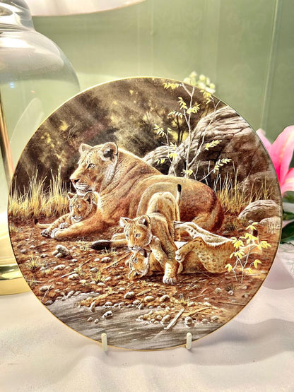 Wedgwood African Lion Fine Bone China Wall Plate – 8 Inch