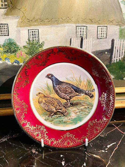 #RoyalFalconWare #WeatherbyHanley #EnglandCrockery #VintageCollectorPlate #AntiquePlate #PorcelainDecor #WallDecorPakistan #LuxuryCrockery #BirdArtPlate #CollectiblesPakistan