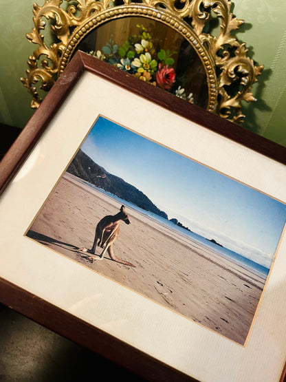Framed Kangaroo Beach Photo Wall Art 13 Inch