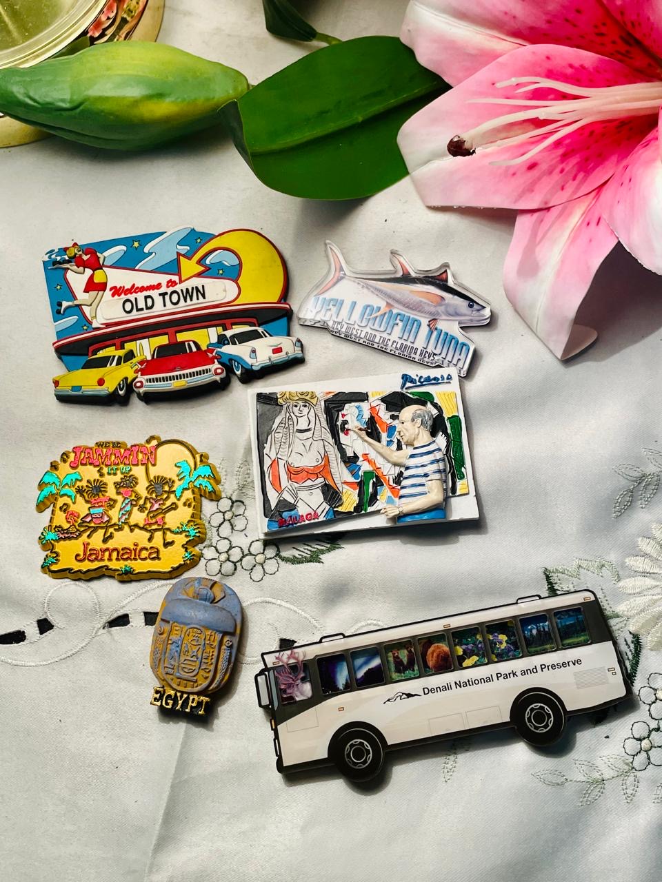 Fridge Magnet 6-Piece Travel Souvenir Magnet Set Jamaica Egypt & Denali