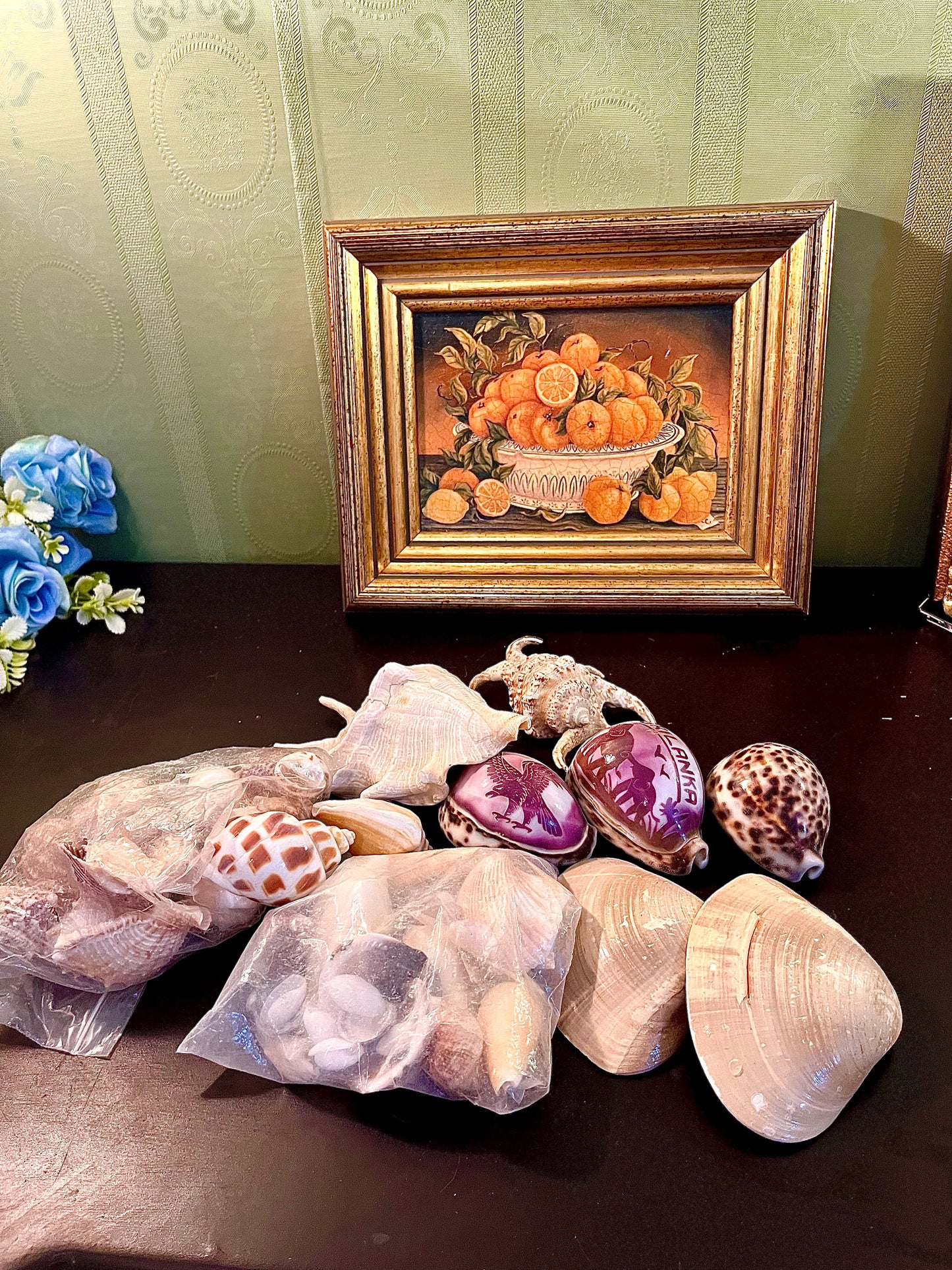 Mixed Natural Seashell Collection – Decorative Coastal Craft & Display Assortment