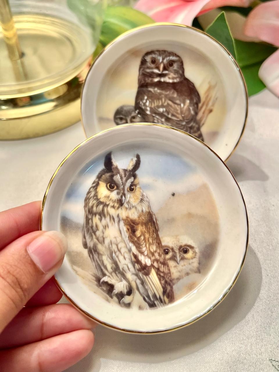 Royal Vale Bone China Owl Decorative Plate  Pair 3.5 in